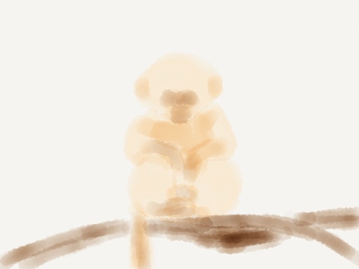 ghost monkey